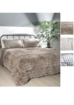 AMBROSIANA TRAPUNTA FOX