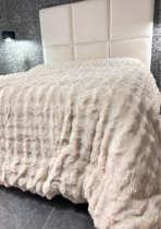 AMBROSIANA TRAPUNTA FOX - immagine 4