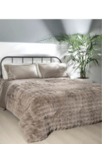 AMBROSIANA TRAPUNTA FOX - immagine 5