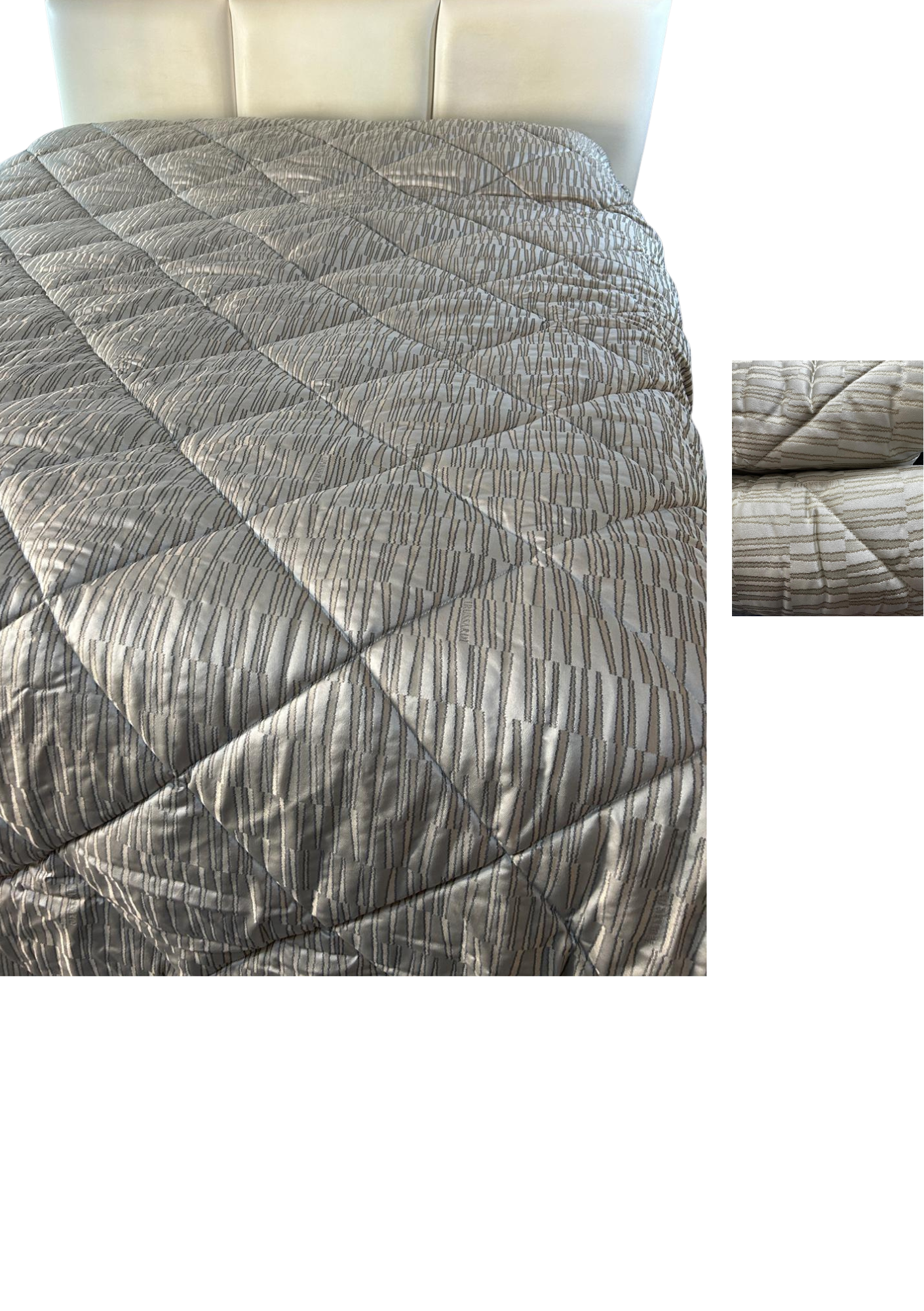 Progetto senza titolo - 2025-12-09T231544.317 TRUSSARDI TRAPUNTA TRACT - immagine 1